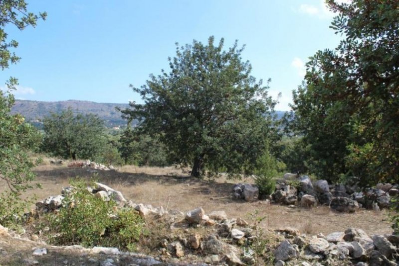 Douliana Riesiges Grundstück mit Ruinen, Wald, Olivenhain und Panoramablick Grundstück kaufen